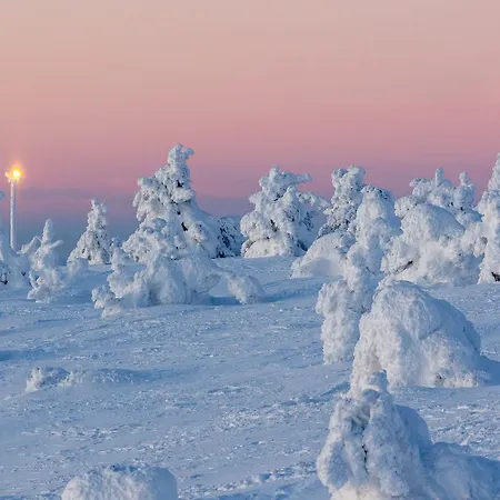 Utsun Gielas A5 Visit * 列维