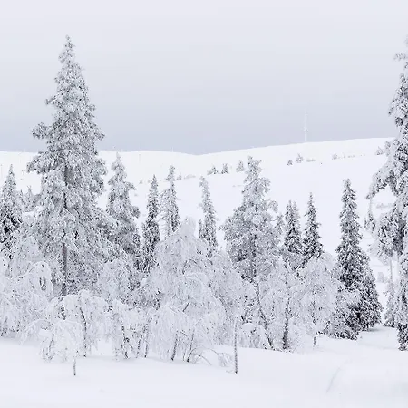 Апартаменты Utsun Gielas A5 Visit Леви