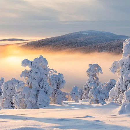 Utsun Gielas A5 Visit 公寓 列维