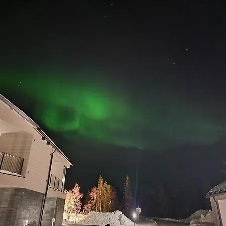 Utsun Gielas A5 Visit * 列维