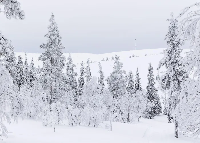 公寓 Utsun Gielas A5 Visit 列维