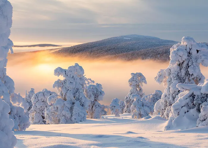 Utsun Gielas A5 Visit דירה לוי