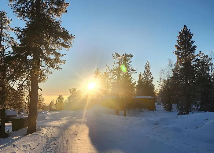 Utsun Gielas A5 Visit לוי