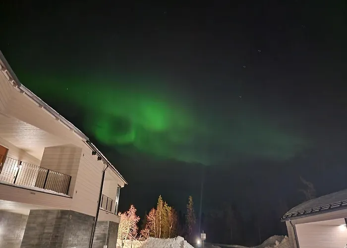 Utsun Gielas A5 Visit * לוי